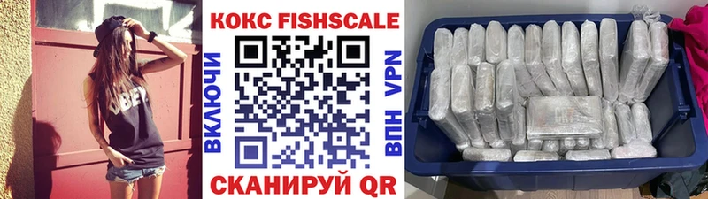 Кокаин Fish Scale  продажа наркотиков  Рузаевка 