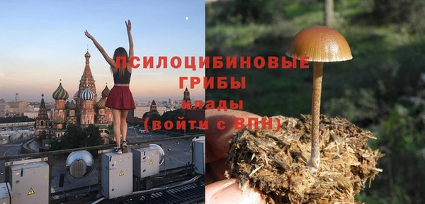 герыч Арсеньев