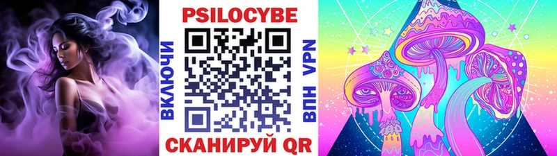 Псилоцибиновые грибы Psilocybine cubensis  Рузаевка 